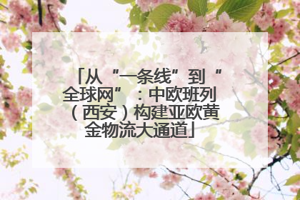 从“一条线”到“全球网”：中欧班列（西安）构建亚欧黄金物流大通道