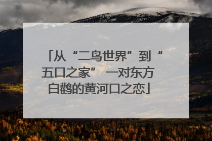从“二鸟世界”到“五口之家” 一对东方白鹳的黄河口之恋
