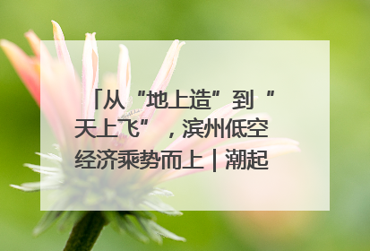 从“地上造”到“天上飞”，滨州低空经济乘势而上｜潮起渤海・网聚黄蓝
