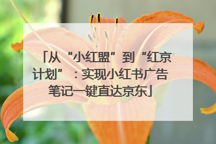 从“小红盟”到“红京计划”：实现小红书广告笔记一键直达京东