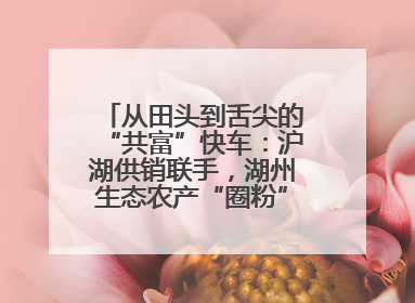 从田头到舌尖的“共富”快车：沪湖供销联手，湖州生态农产“圈粉”大上海