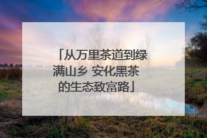从万里茶道到绿满山乡 安化黑茶的生态致富路