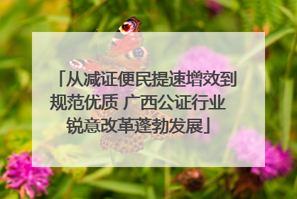 从减证便民提速增效到规范优质 广西公证行业锐意改革蓬勃发展
