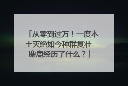 从零到过万！一度本土灭绝如今种群复壮 麋鹿经历了什么？
