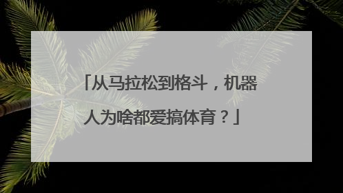 从马拉松到格斗，机器人为啥都爱搞体育？