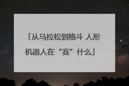 从马拉松到格斗 人形机器人在“赛”什么