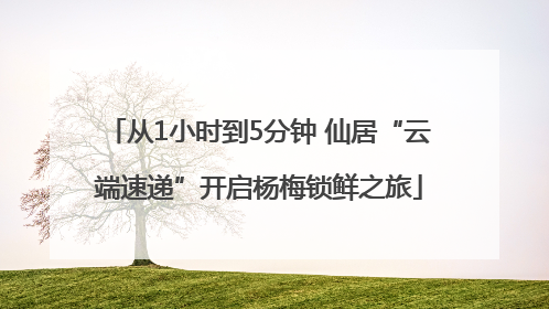 从1小时到5分钟 仙居“云端速递”开启杨梅锁鲜之旅