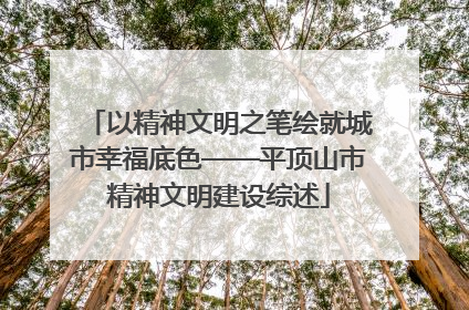 以精神文明之笔绘就城市幸福底色——平顶山市精神文明建设综述
