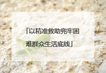 以精准救助兜牢困难群众生活底线