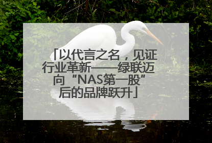 以代言之名，见证行业革新——绿联迈向“NAS第一股”后的品牌跃升
