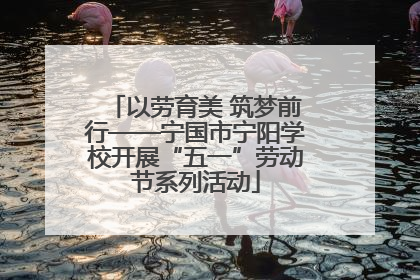 以劳育美 筑梦前行——宁国市宁阳学校开展“五一”劳动节系列活动