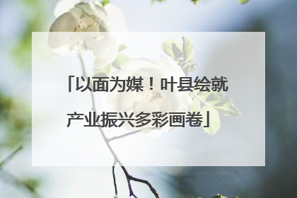 以面为媒！叶县绘就产业振兴多彩画卷