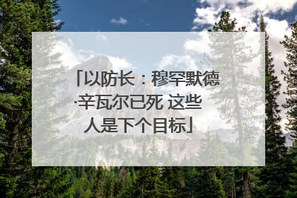 以防长：穆罕默德·辛瓦尔已死 这些人是下个目标
