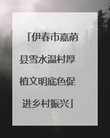 伊春市嘉荫县雪水温村厚植文明底色促进乡村振兴