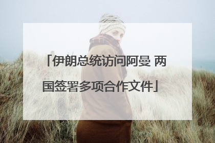 伊朗总统访问阿曼 两国签署多项合作文件