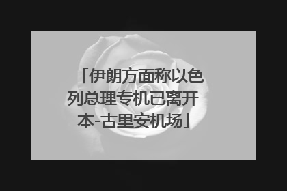 伊朗方面称以色列总理专机已离开本-古里安机场