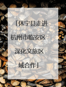 休宁县走进杭州市临安区 深化文旅区域合作