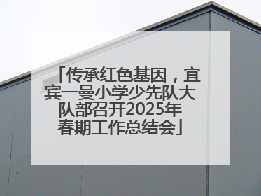 传承红色基因，宜宾一曼小学少先队大队部召开2025年春期工作总结会