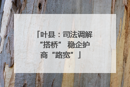 叶县：司法调解“搭桥” 稳企护商“路宽”