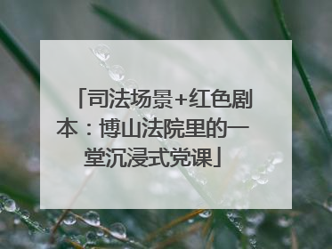 司法场景+红色剧本：博山法院里的一堂沉浸式党课