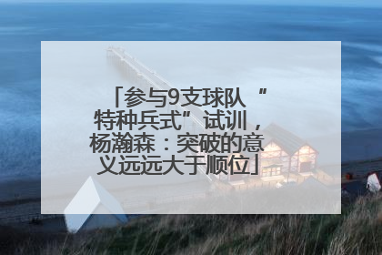 参与9支球队“特种兵式”试训，杨瀚森：突破的意义远远大于顺位
