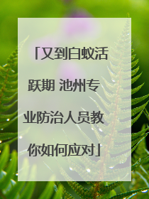 又到白蚁活跃期 池州专业防治人员教你如何应对