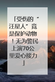 受伤的“汪星人”竟是保护动物！无为警民上演70公里爱心接力