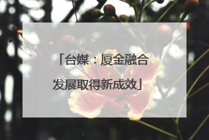 台媒：厦金融合发展取得新成效