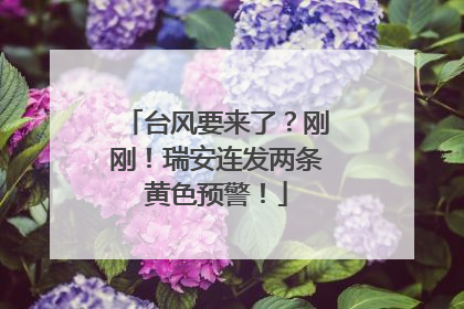 台风要来了？刚刚！瑞安连发两条黄色预警！