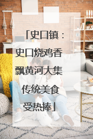 史口镇：史口烧鸡香飘黄河大集 传统美食受热捧