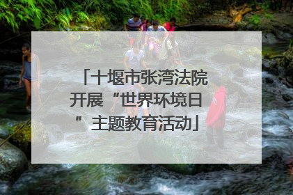 十堰市张湾法院开展“世界环境日”主题教育活动