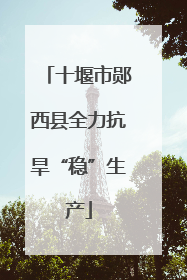 十堰市郧西县全力抗旱“稳”生产