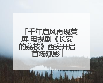 千年唐风再现荧屏 电视剧《长安的荔枝》西安开启首场观影