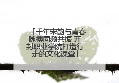 千年宋韵与青春脉搏同频共振 开封职业学院打造行走的文化课堂