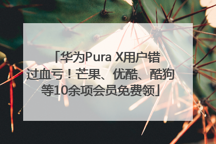 华为Pura X用户错过血亏！芒果、优酷、酷狗等10余项会员免费领