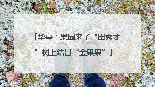 华亭：果园来了“田秀才”树上结出“金果果”