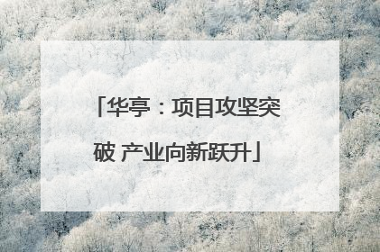 华亭：项目攻坚突破 产业向新跃升