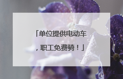 单位提供电动车，职工免费骑！