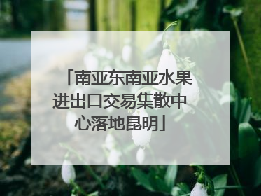 南亚东南亚水果进出口交易集散中心落地昆明