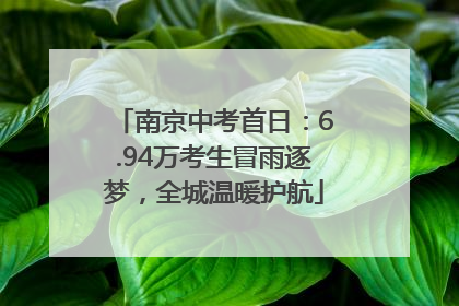 南京中考首日：6.94万考生冒雨逐梦，全城温暖护航