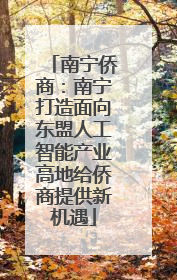 南宁侨商：南宁打造面向东盟人工智能产业高地给侨商提供新机遇