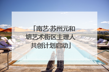 南艺·苏州元和塘艺术街区主理人共创计划启动