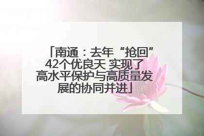 南通：去年“抢回”42个优良天 实现了高水平保护与高质量发展的协同并进