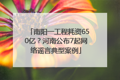 南阳一工程耗资650亿？河南公布7起网络谣言典型案例