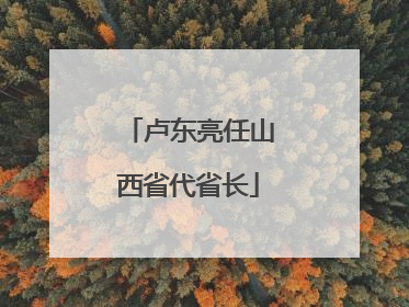 卢东亮任山西省代省长