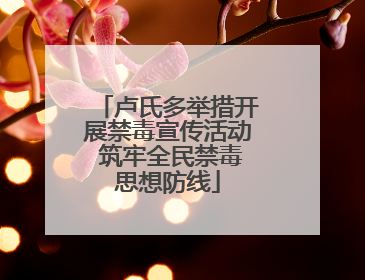 卢氏多举措开展禁毒宣传活动 筑牢全民禁毒思想防线