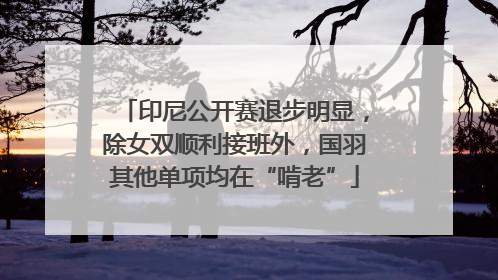 印尼公开赛退步明显，除女双顺利接班外，国羽其他单项均在“啃老”