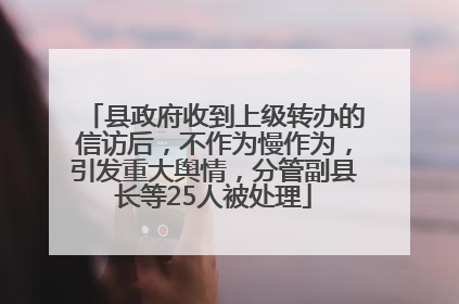 县政府收到上级转办的信访后，不作为慢作为，引发重大舆情，分管副县长等25人被处理
