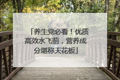养生党必看！优质高效水飞蓟，营养成分堪称天花板