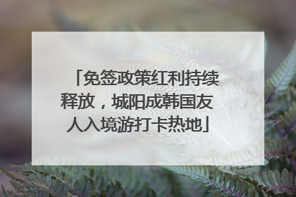 免签政策红利持续释放，城阳成韩国友人入境游打卡热地
